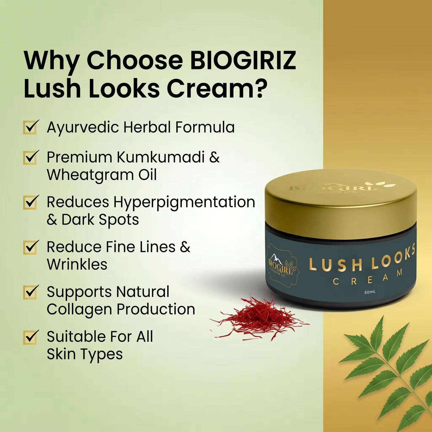 Biogiriz Lush Looks Cream