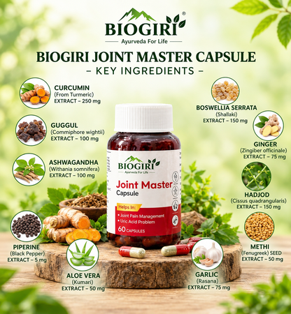 Biogiri Joint Master Capsules – Ayurvedic Joint Comfort, Mobility & Flexibility Support – 60 Capsules