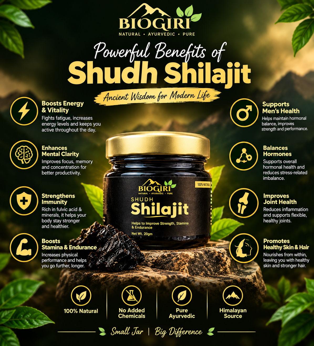 Biogiri Shudh Shilajit – Pure Ayurvedic Shilajit for Energy, Strength & Stamina Support – 10g