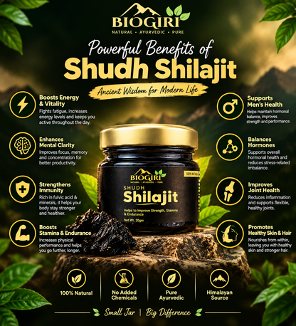Biogiri Shudh Shilajit – Pure Ayurvedic Shilajit for Energy, Strength & Stamina Support – 10g