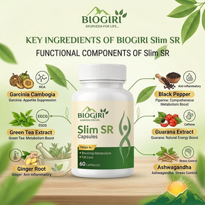 Biogiri Slim SR Capsules – Ayurvedic Herbal Weight Management, Metabolism & Digestive Support – 60 Capsules